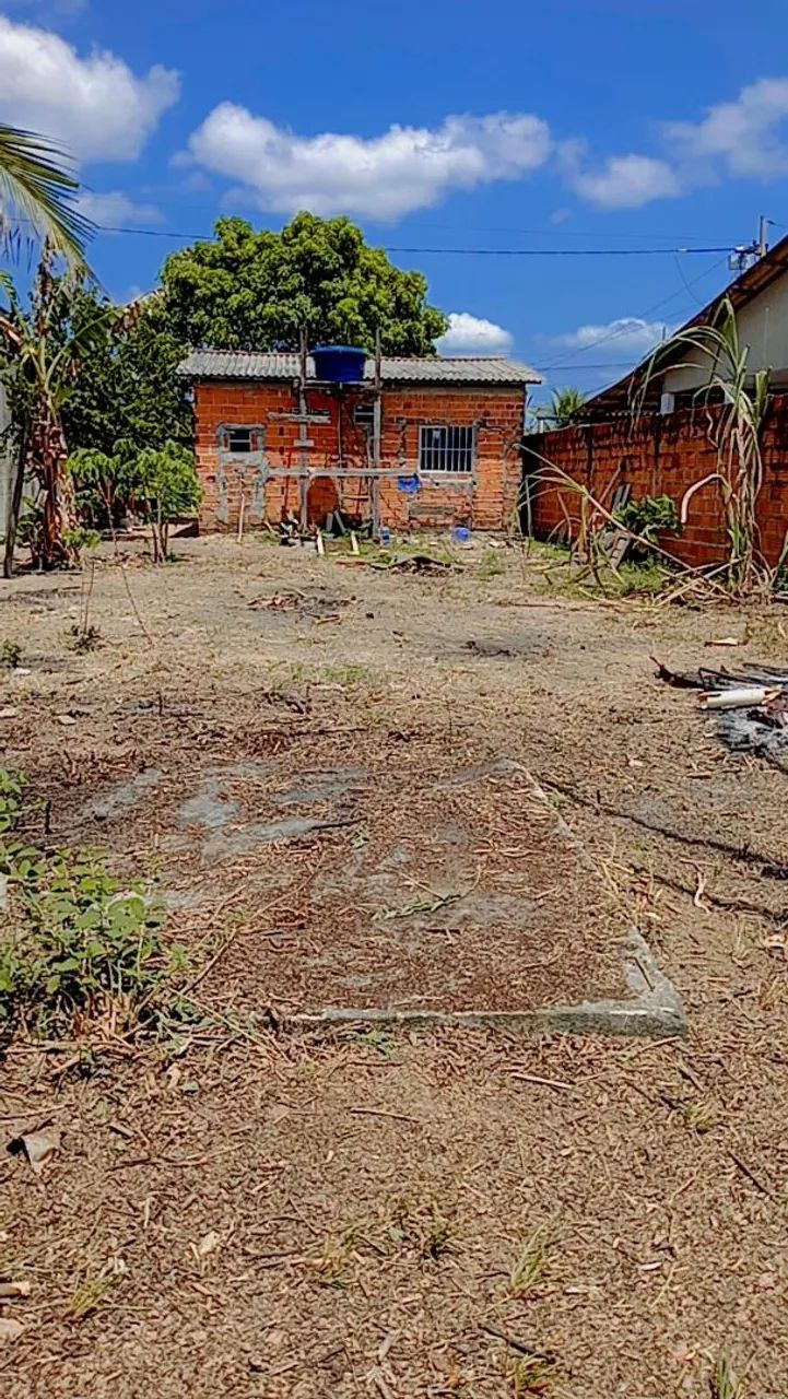 Foto - Macapá - Marabaixo