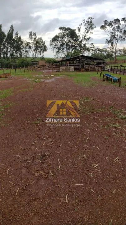 Fazenda, 32 alqueires - Zona Rural - Palmas/TO - Foto 5