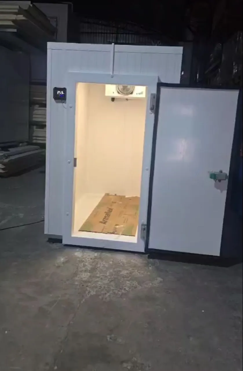 Mini Câmara Fria pronta