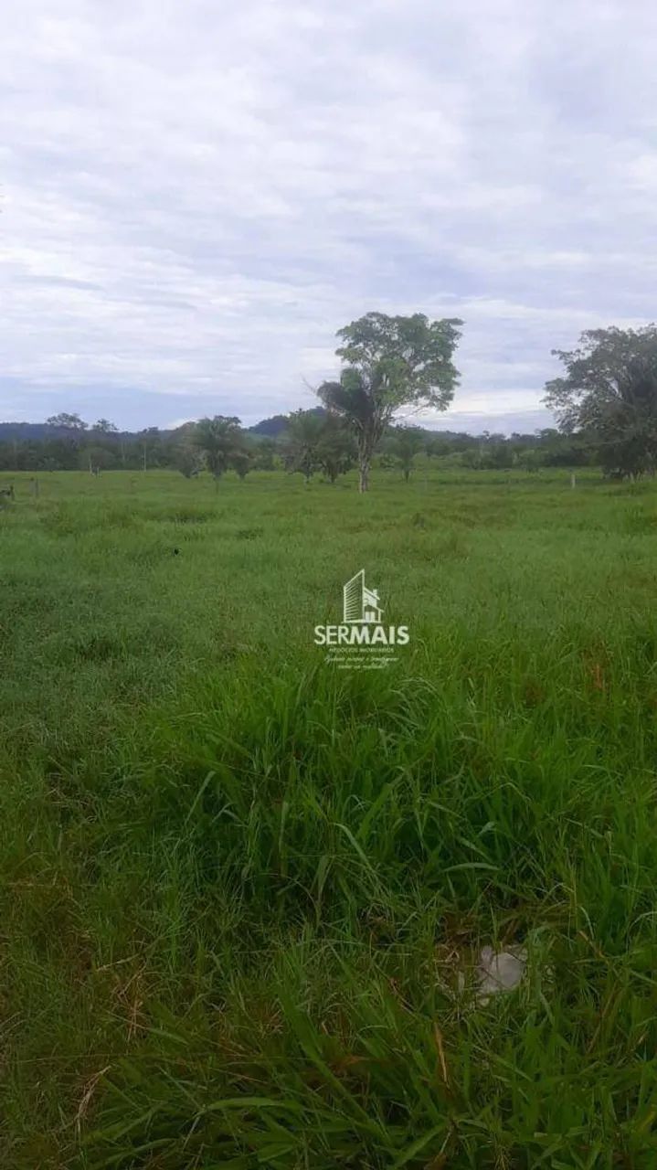 Sítio à venda, 1766600 m² por R$ 7.300.000 - Área rural de São Miguel do Guaporé - São Mig - Foto 2