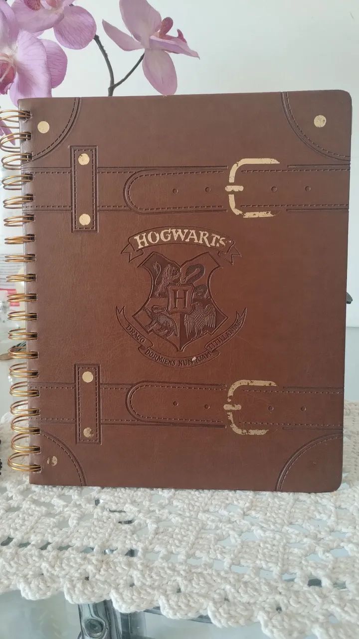 Agenda Hogwarts Harry Potter 