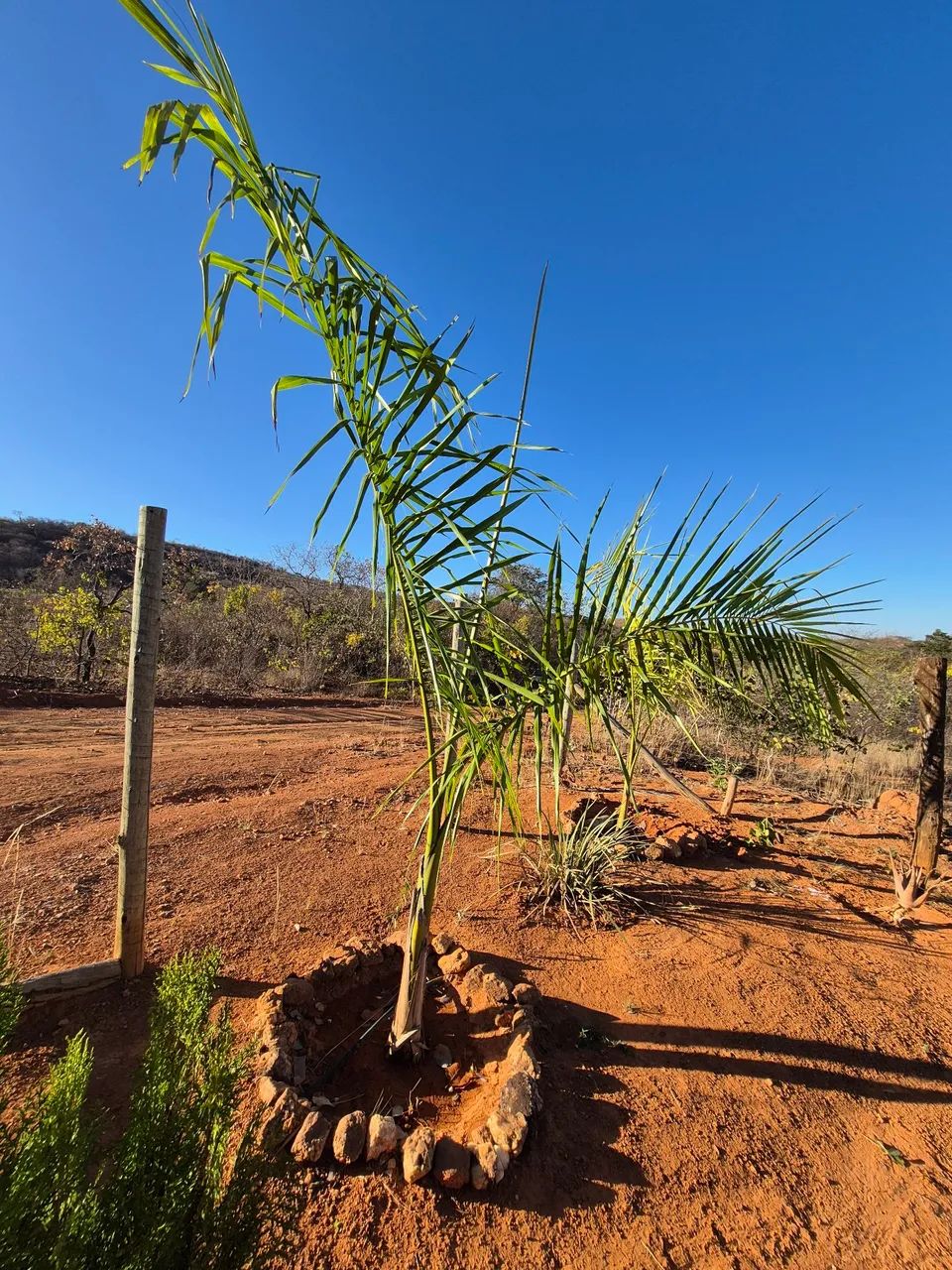 Chácara de mil metros joia do cerrado  - Foto 13