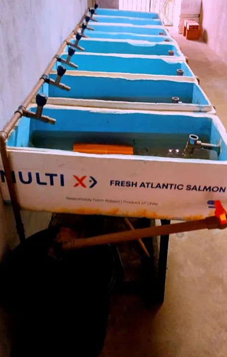 Criatório  para criação profissional - Foto 2