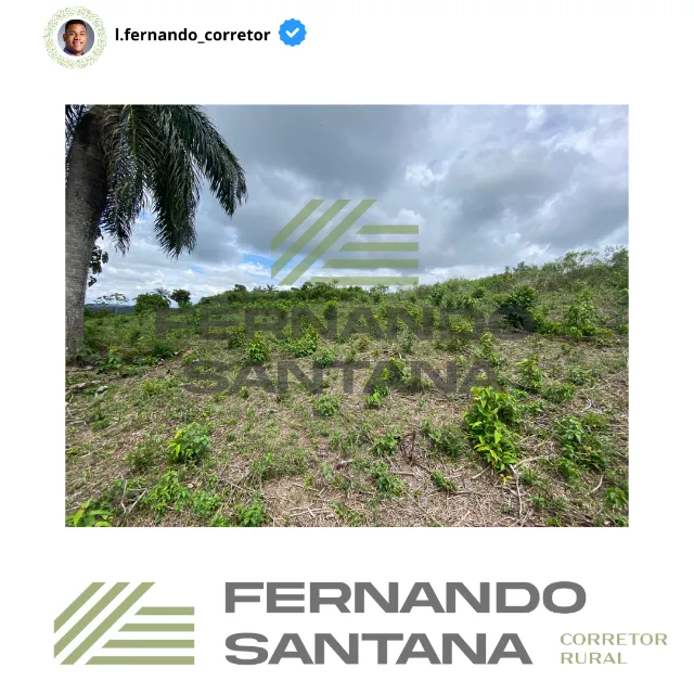Própriedade Areia 6 ha
