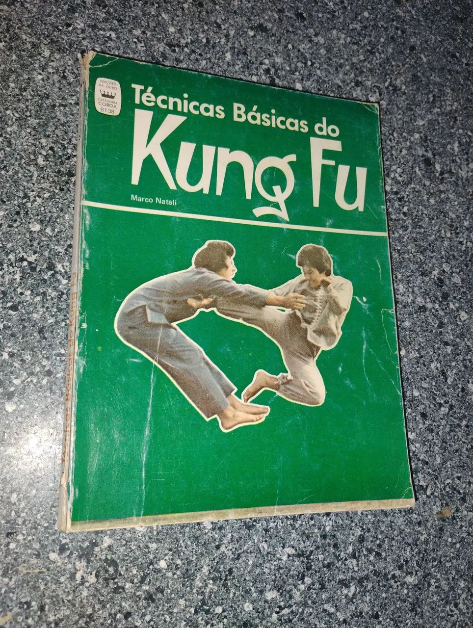 Técnicas Básicas do Kung Fu 