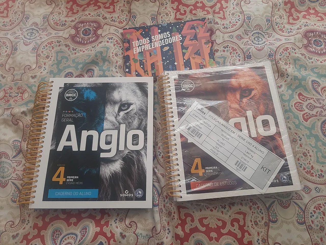 Módulos Anglo 1° Ano ensino médio  - Foto 4