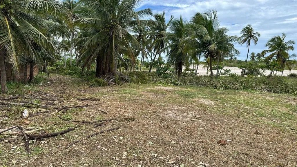 Terrenos bem localizado praia do Preá - Foto 5