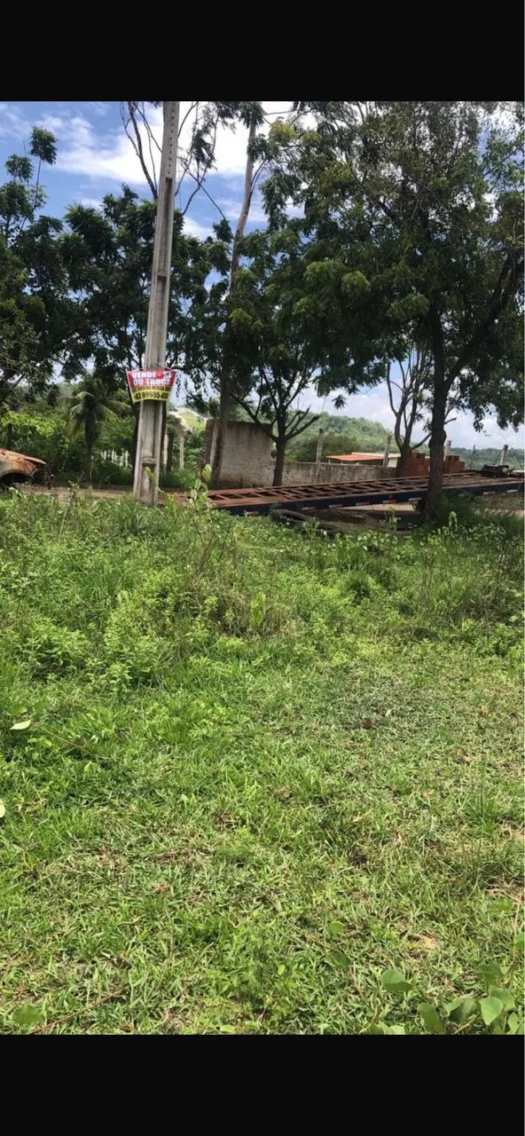 TERRENO E LOTES - Foto 2