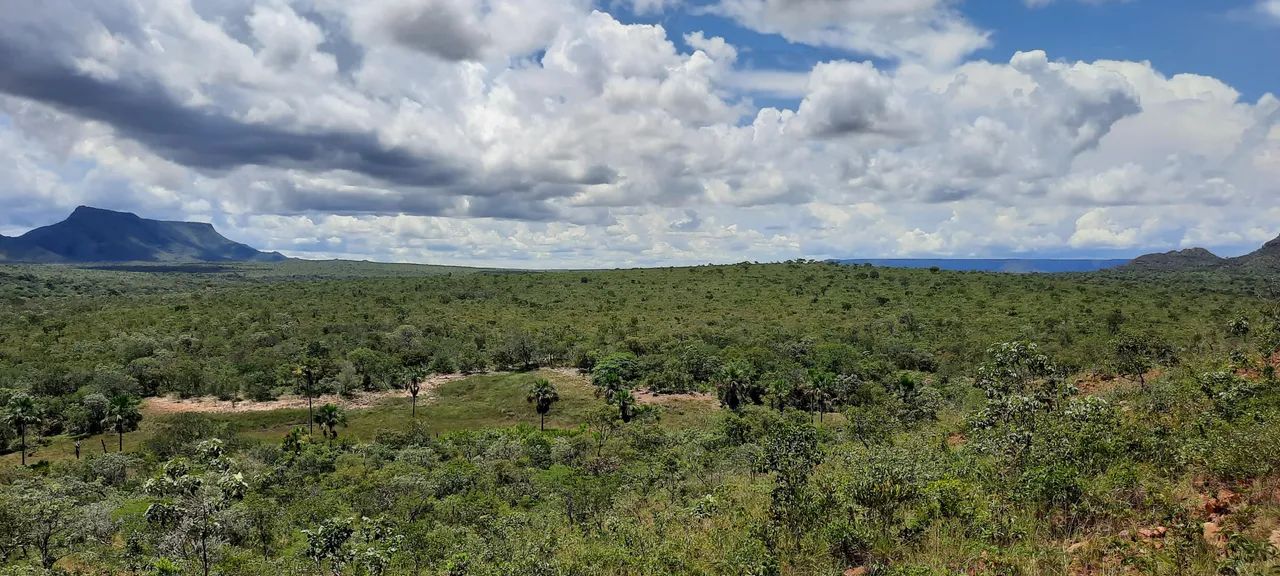 Oportunidade Posse documentada de 1.296,90 hectares 
