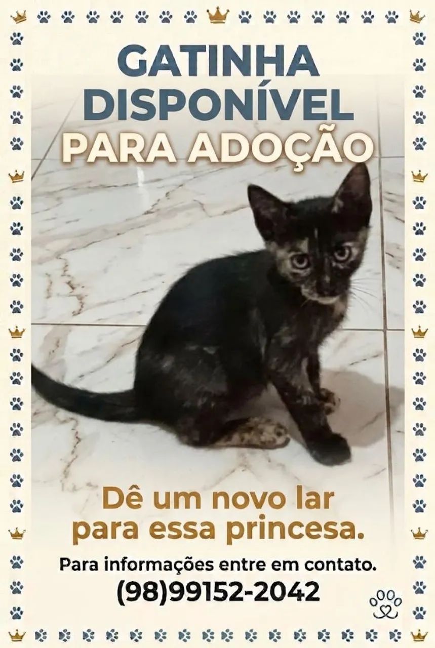 Doação  - Foto 2