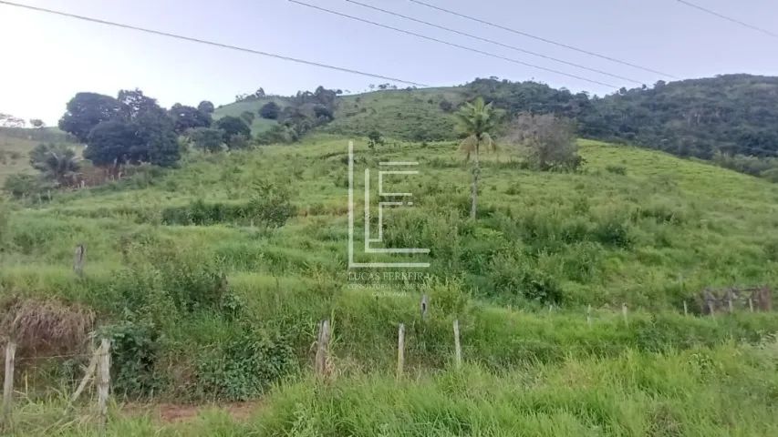Ótimo sítio com 6 hectares e água em abundância em União dos Palmares - AL - Foto 3