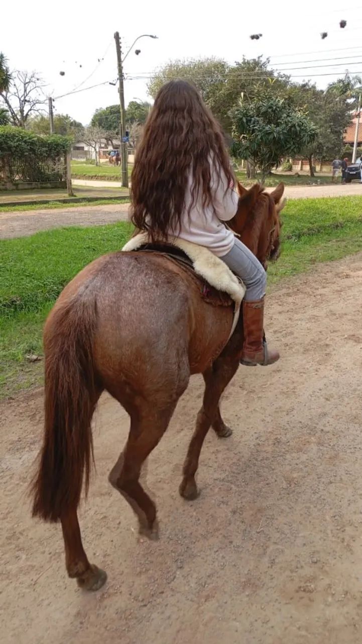 Cavalo 