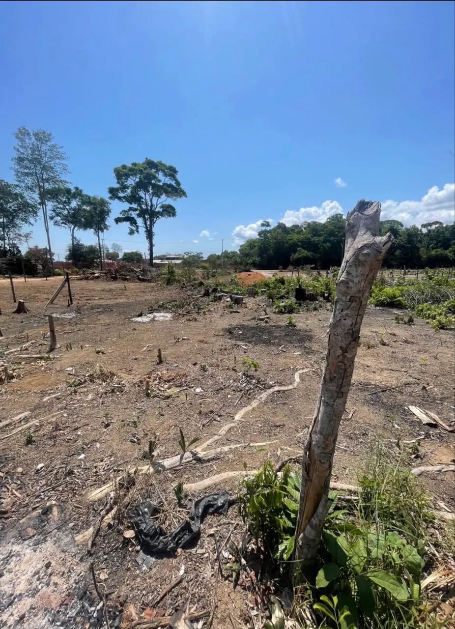 Foto - Macapá - Goiabal
