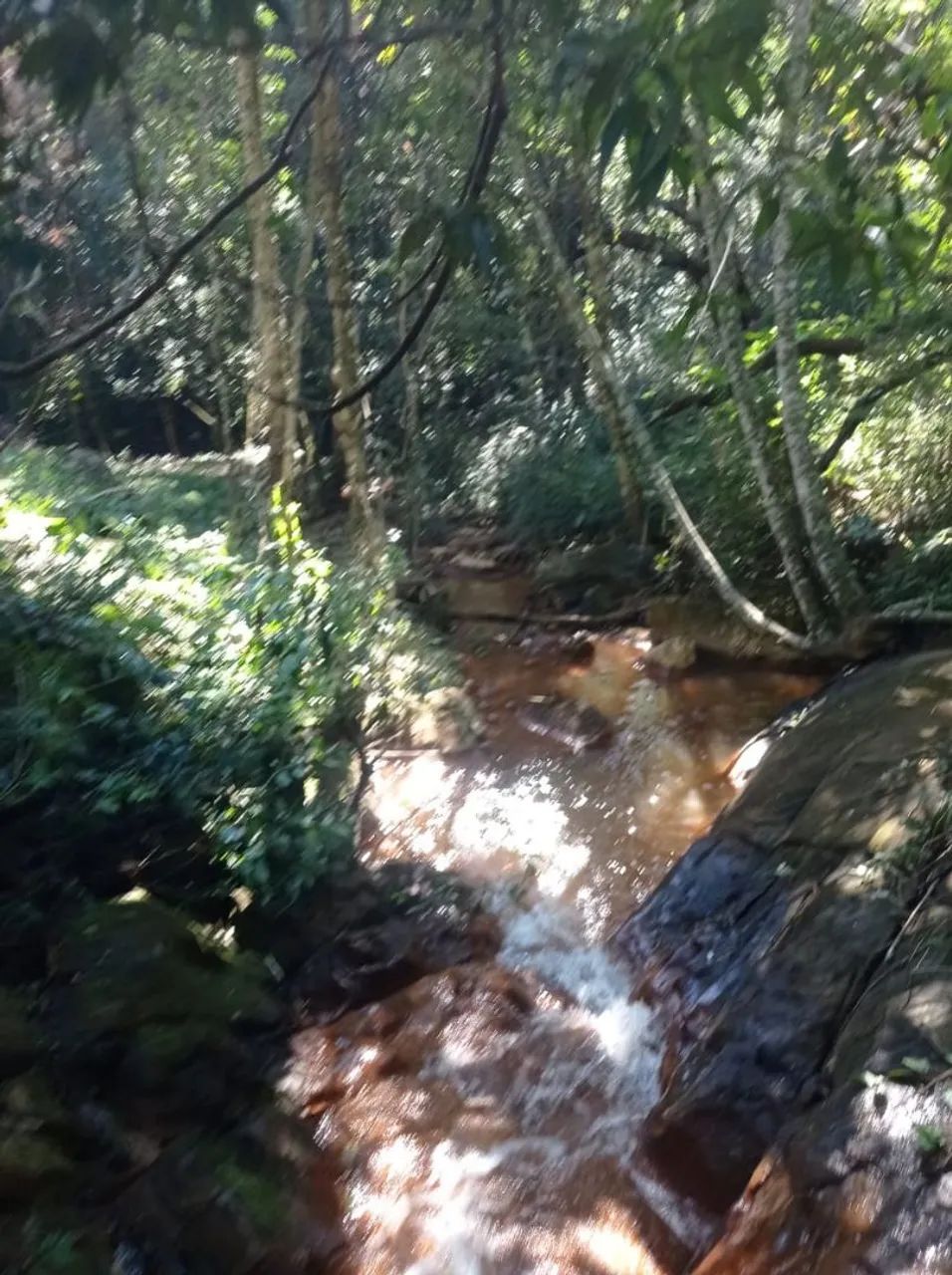 Chácara 3500 metros. - Foto 3