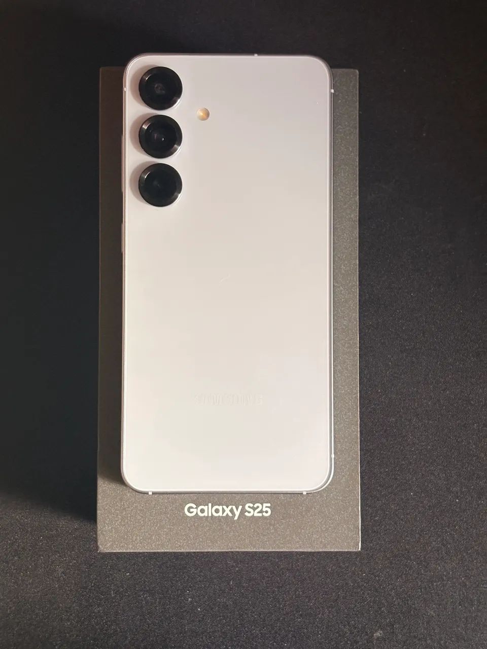 Samsung Galaxy S25 256GB 12GB RAM (Impecável)