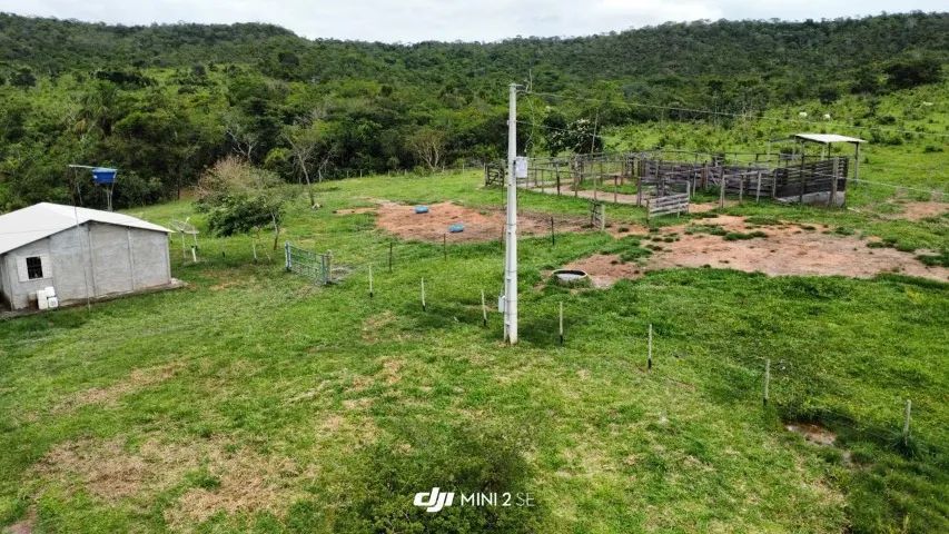 fazenda em Silvania GO com 140 hectares  - Foto 3