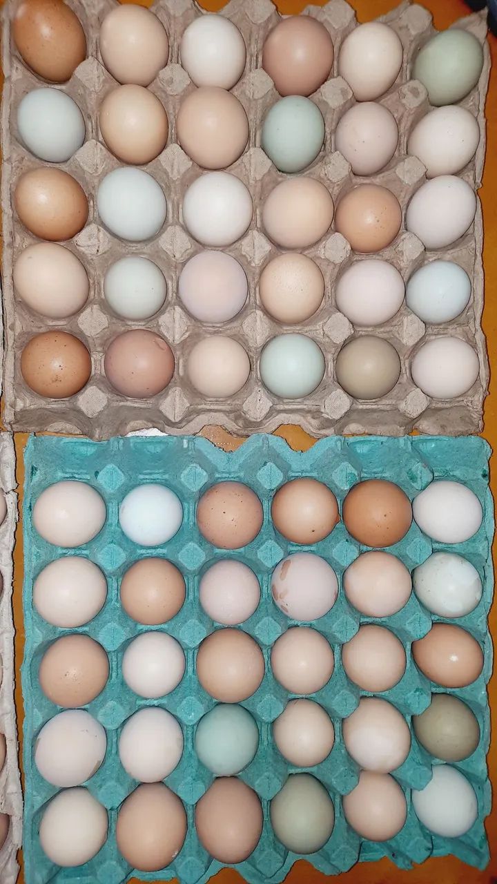 Ovos caipira  - Foto 3