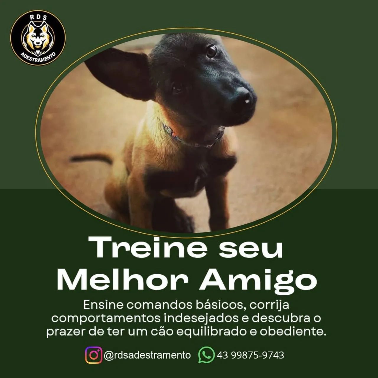 RDS ADESTRAMENTO 