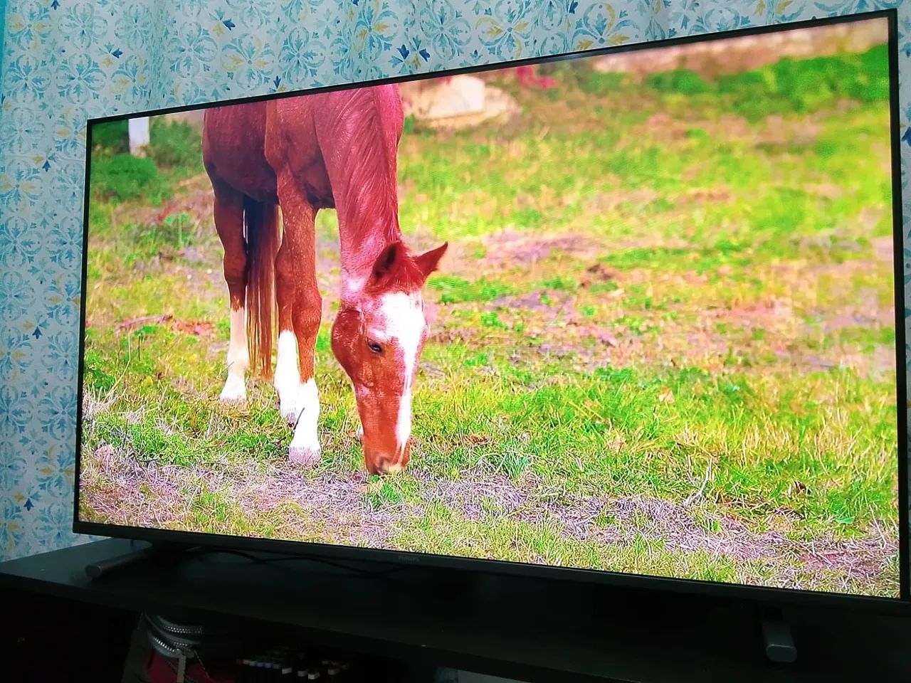 SMART TV 43 POLEGADAS  - Foto 4