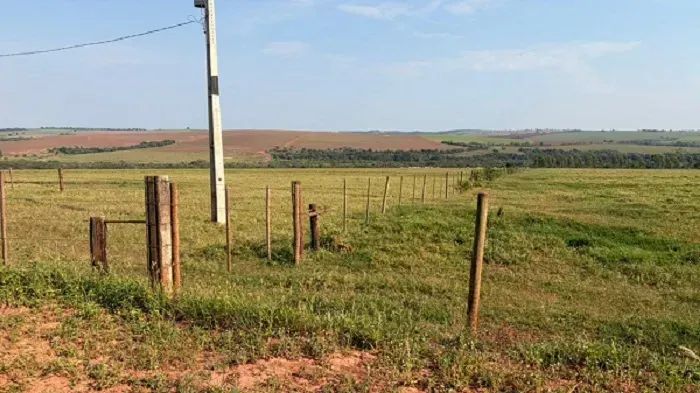 CANA - PECUÁRIA - Área Rural 34 Alqueires - Foto 3