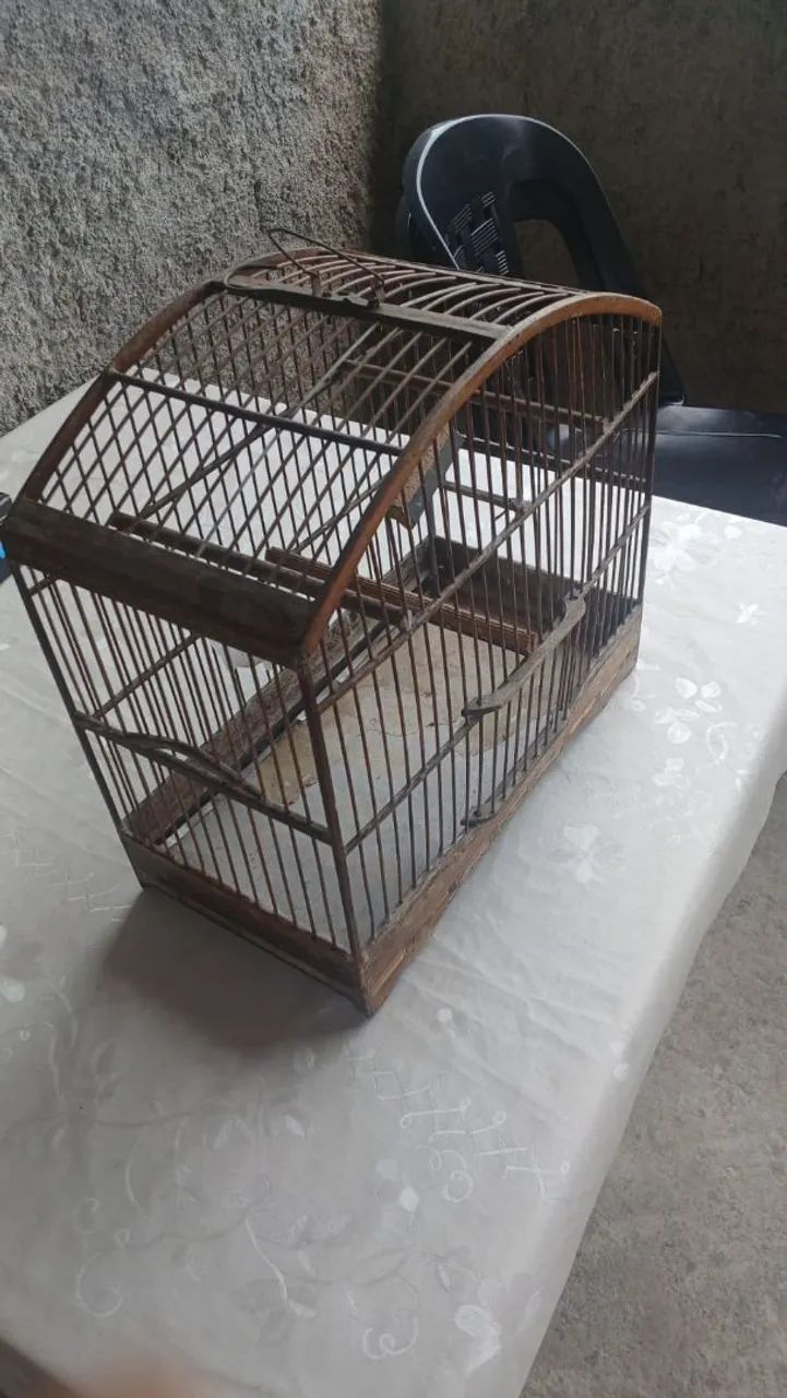 Gaiola 