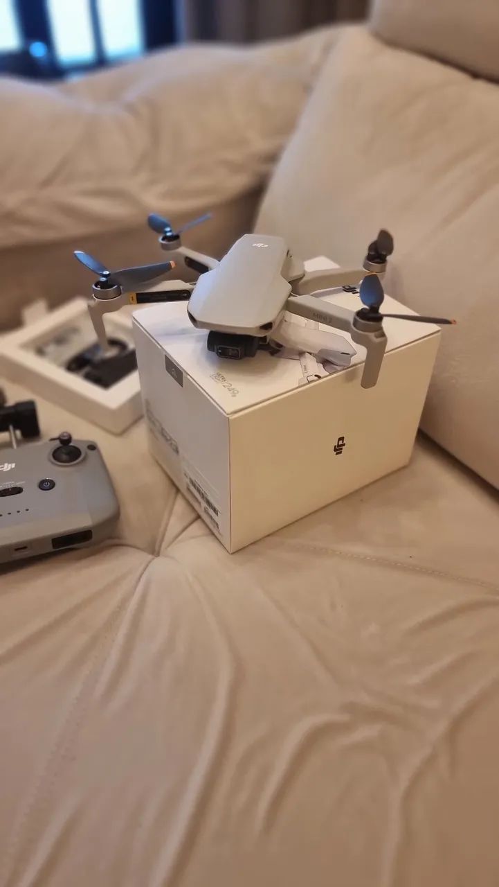 Drone DJI Mini 2 - Leia