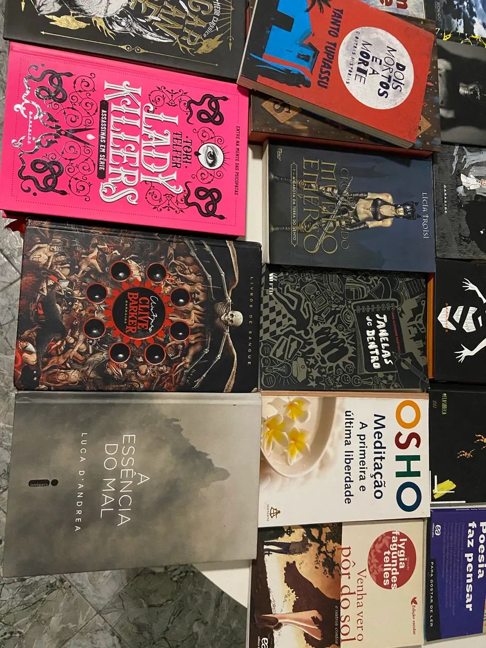 LIVROS diversos498133439653488644