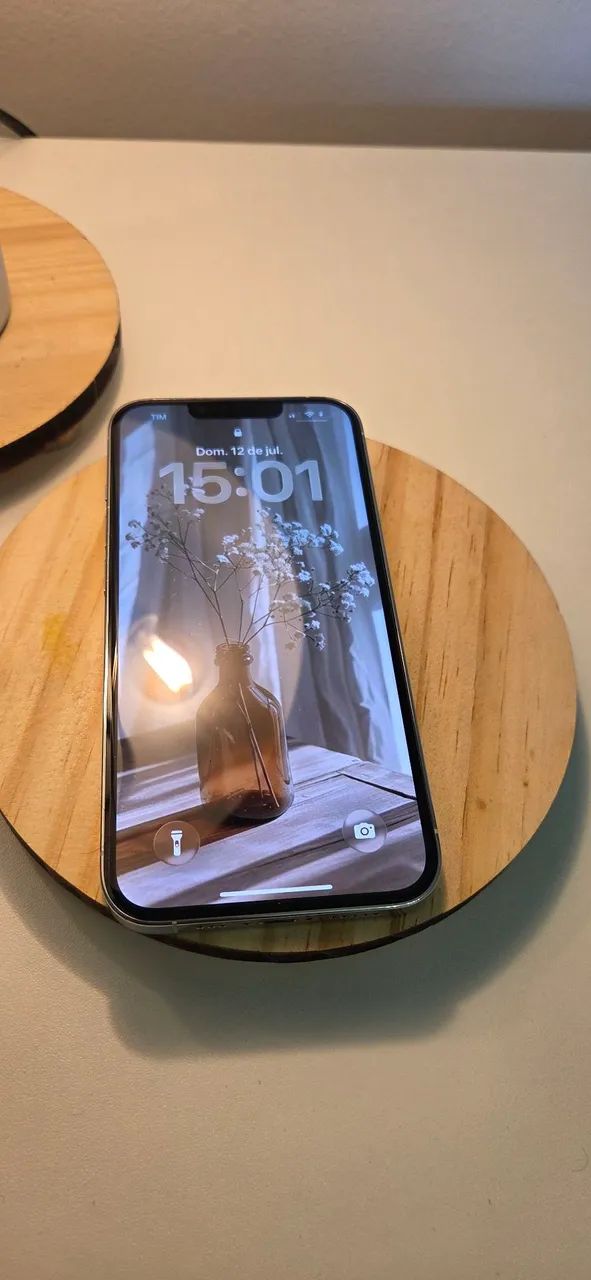 iPhone 13 Pro 256GB Prata - Bateria 76% - Estado Impecável