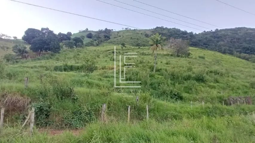 Ótimo sítio com 6 hectares e água em abundância em União dos Palmares - AL - Foto 2