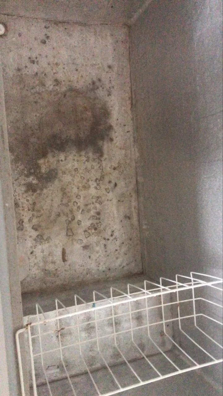 Freezer  - Foto 2