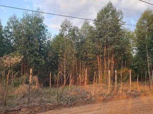 Lote de chácara- Camargo II- São Pedro S/P - Foto 3