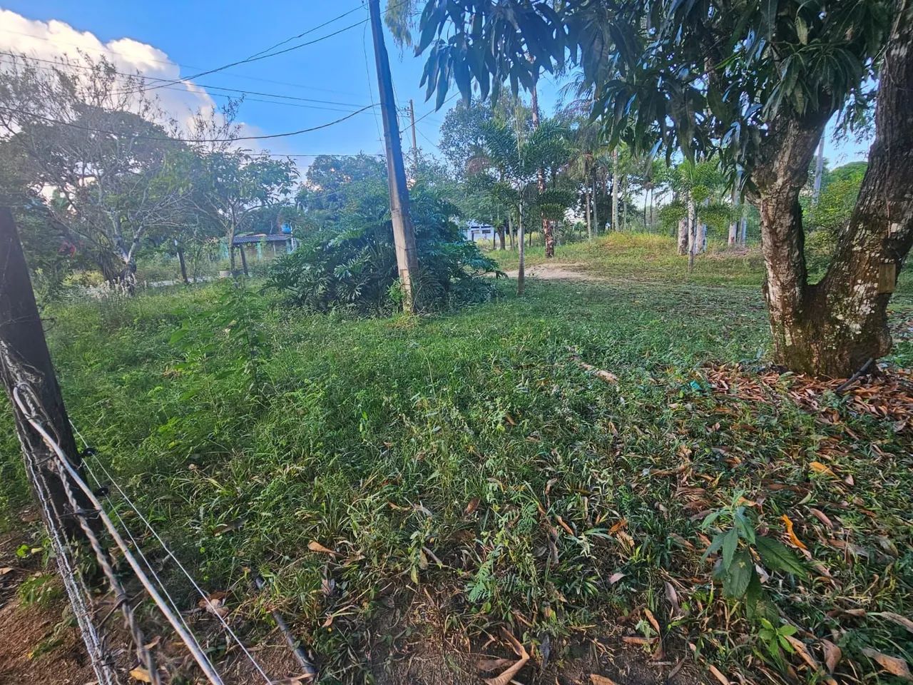 Preciso de  diarista. - Foto 2