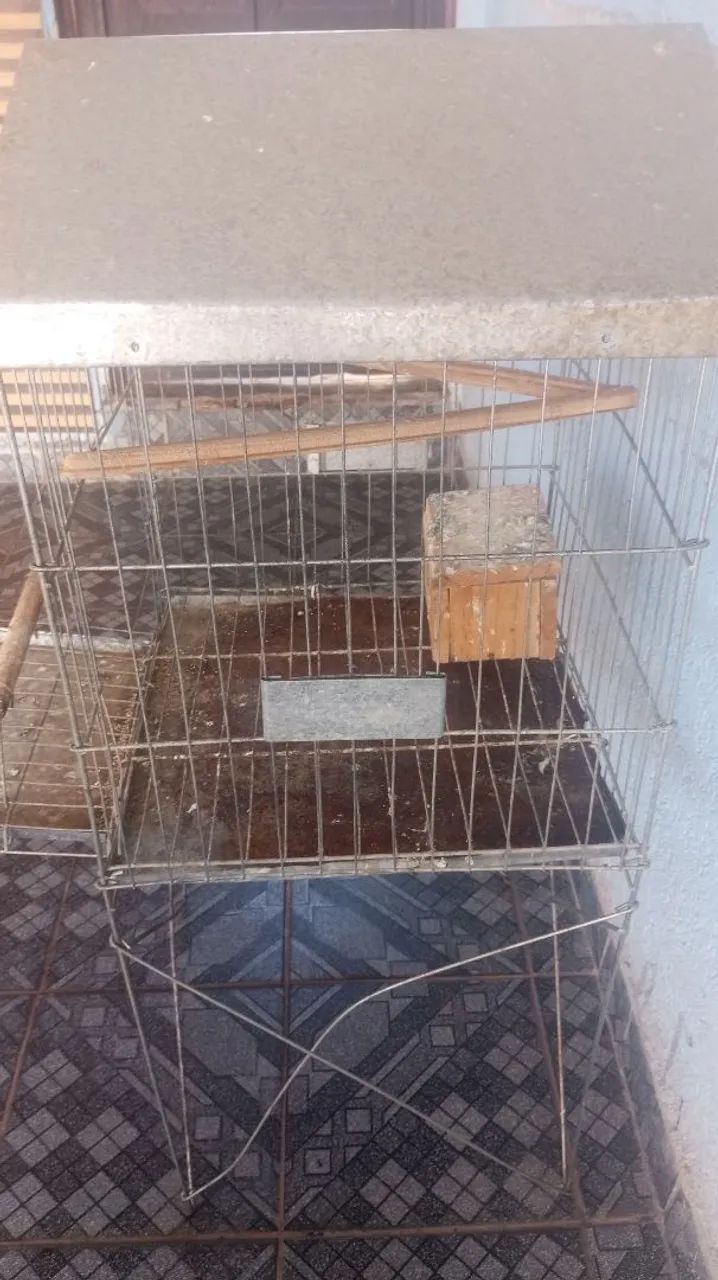 Gaiola grande  - Foto 4