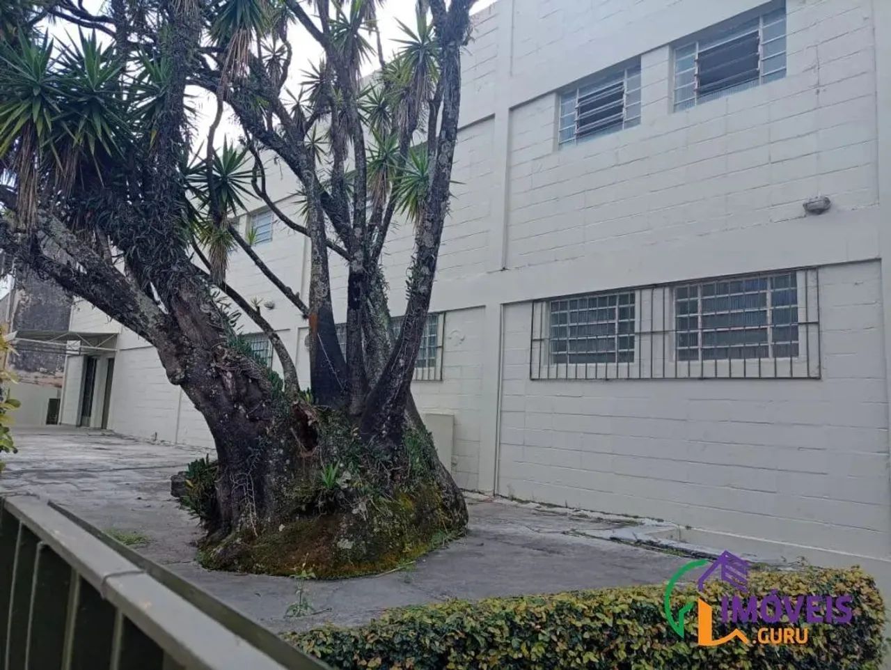 GALPÃO - CIDADE ADEMAR - SP - Foto 9