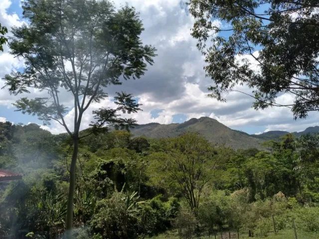 Terras raras - Foto 5