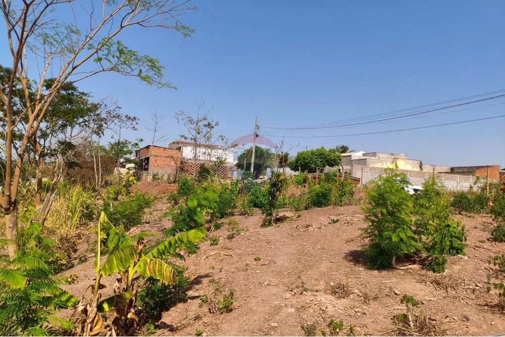 3 Terrenos com preço imperdível no Jardim Liberdade (Qd63, Lt 24) - Foto 3