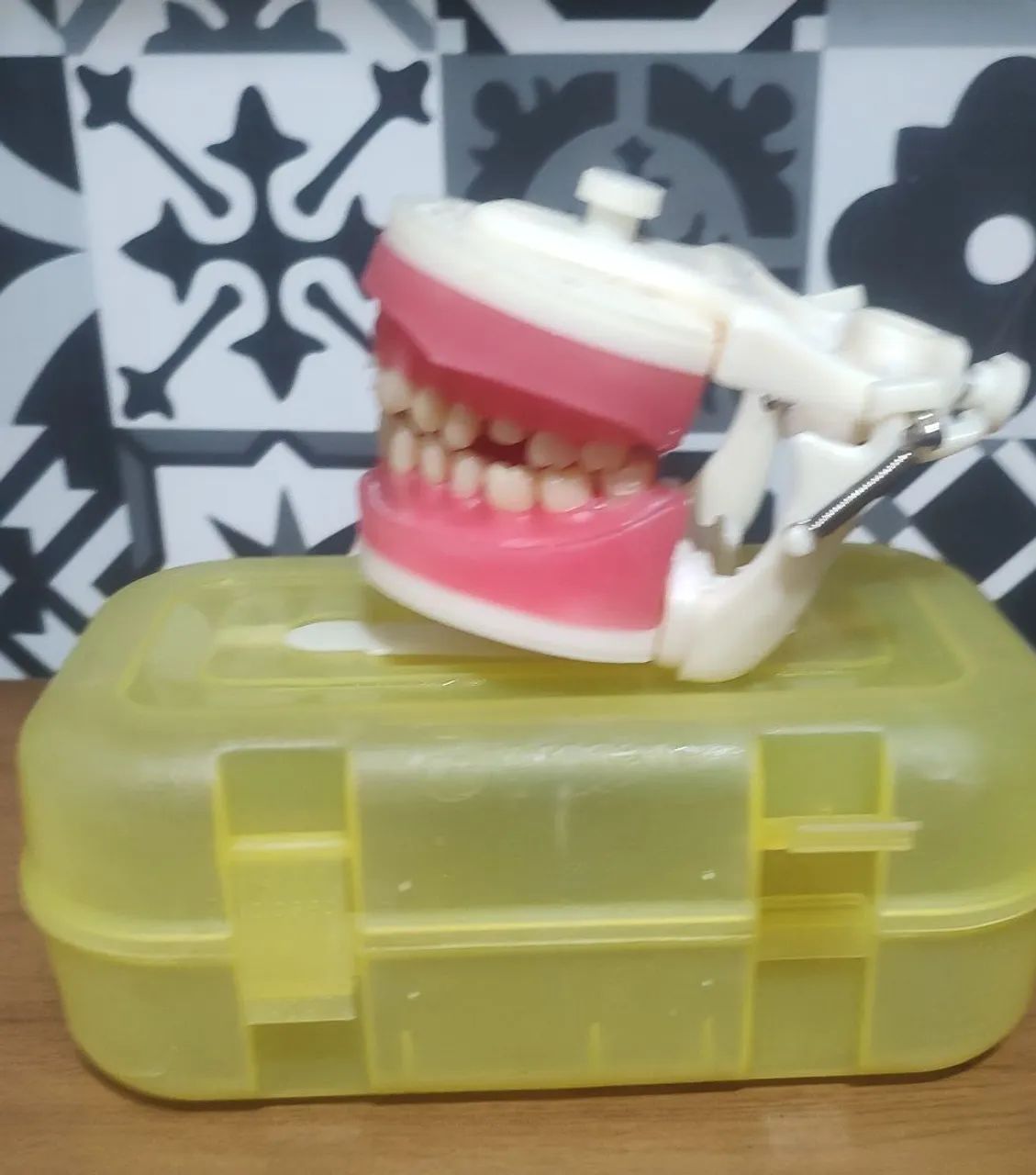 Manequim dentistica/endo Pronew com embalagem 