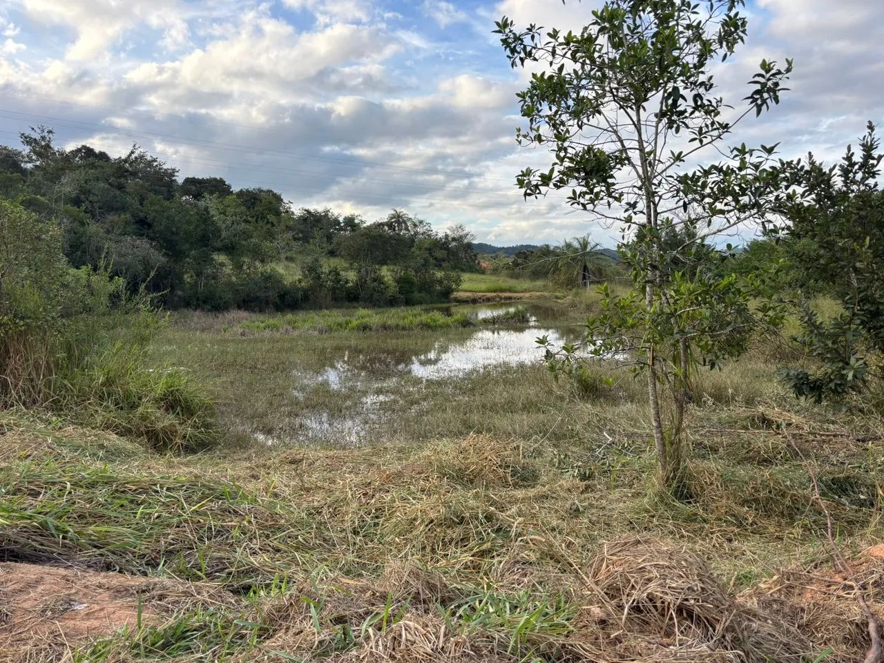 Lotes à venda!  - Foto 4