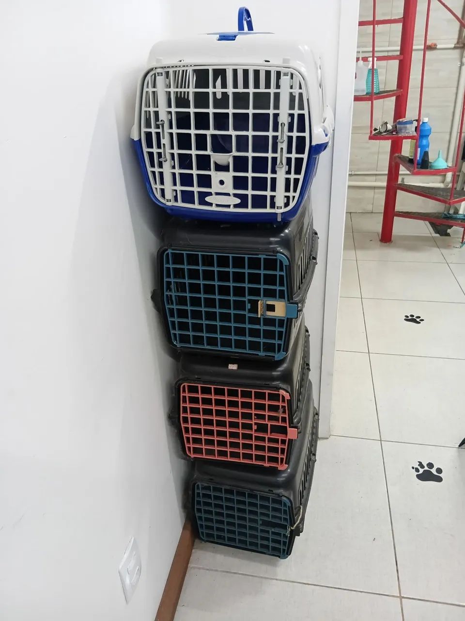 Transporte pet  - Foto 2