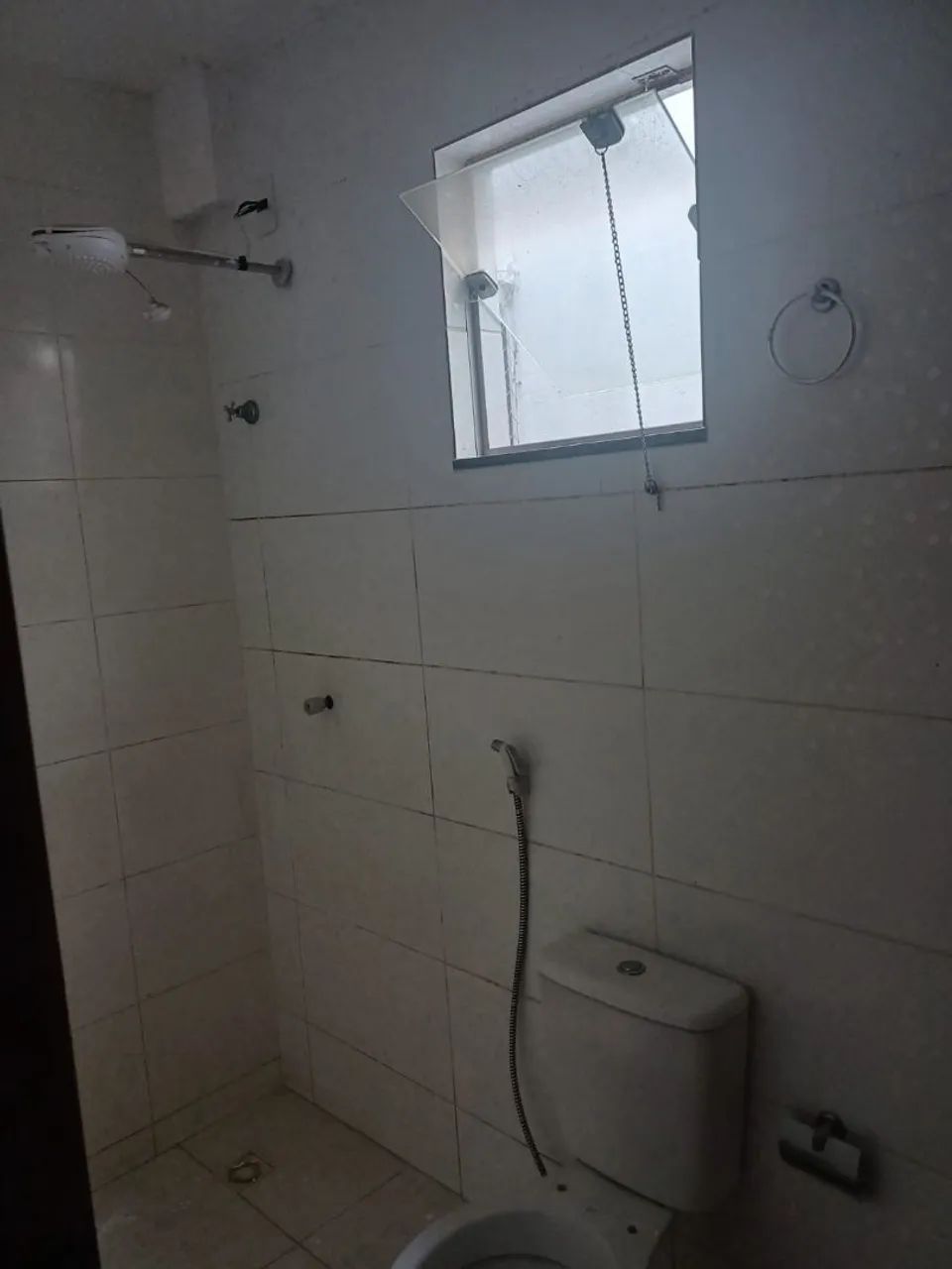 Aluguel samambaia 