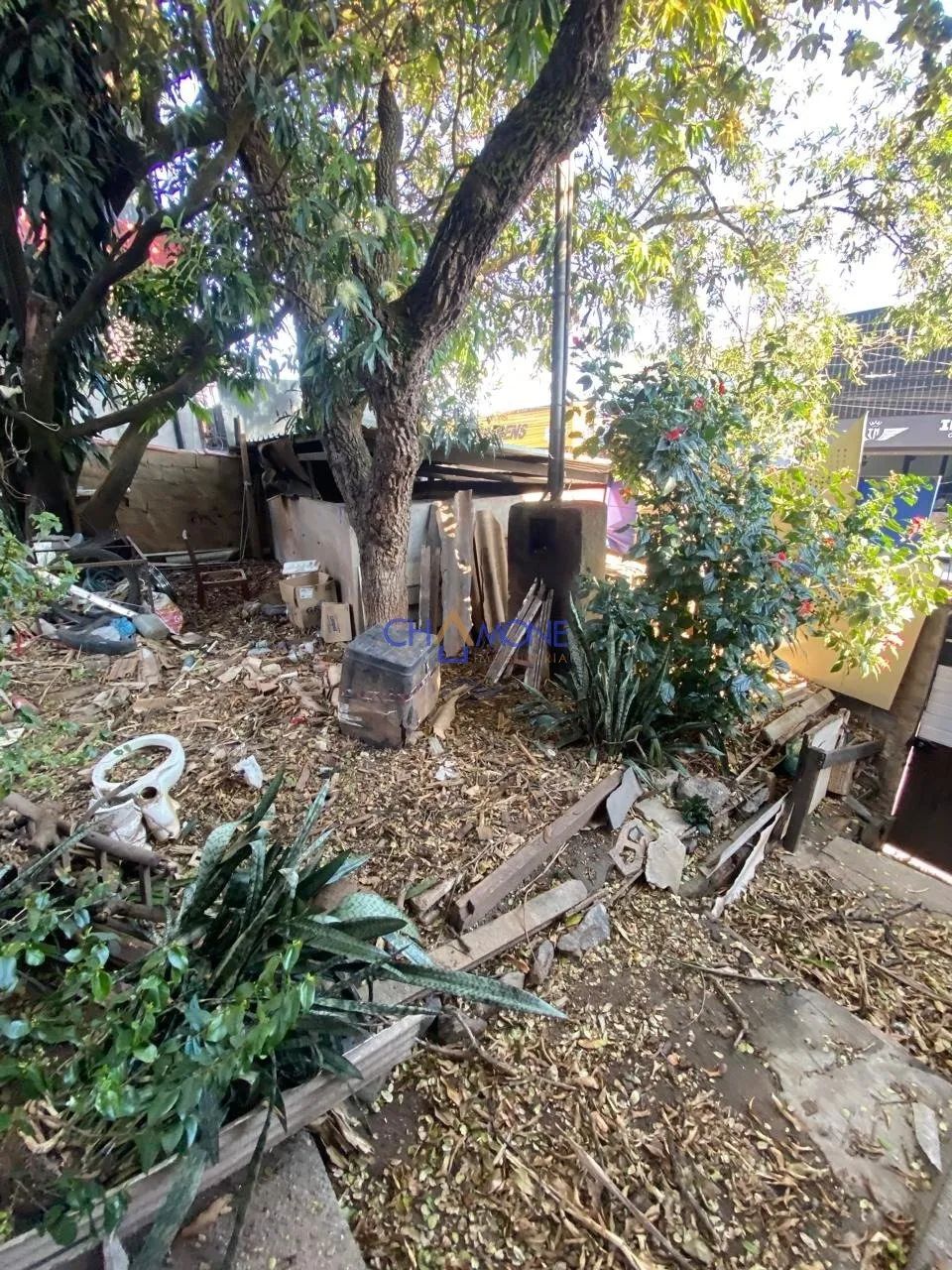 Oportunidade na Av. Abilio Machado - Foto 2