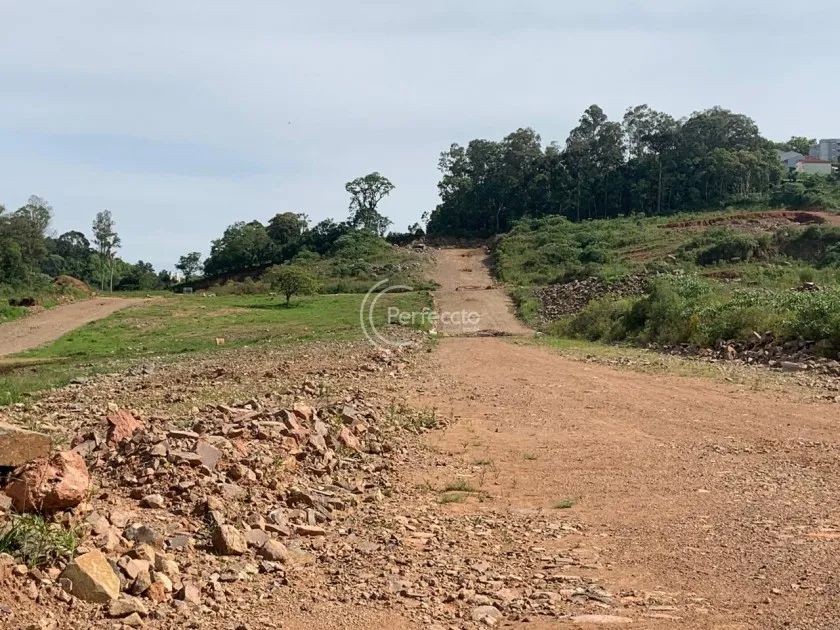 Terrenos - Esplanada - Foto 2
