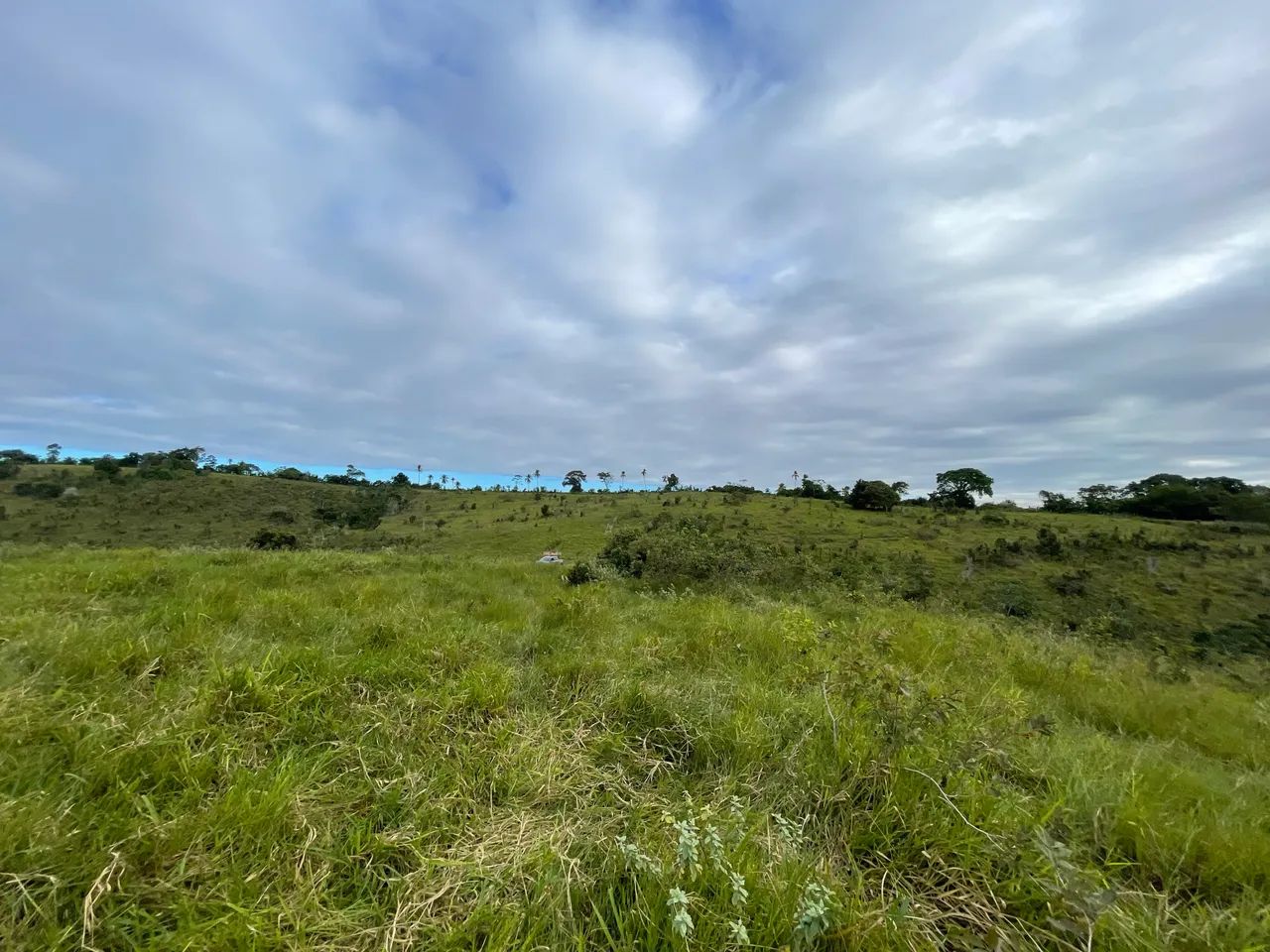 Fazenda em Santa Luiza do Itanhy - Foto 2
