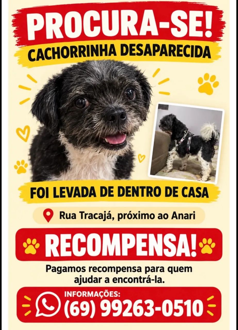 Cachorra desaparecida 