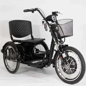 Triciclo Elétrico Fox Duos 800W - Preto