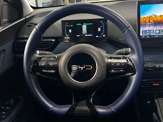 BYD Dolphin Mini (Elétrico) 2025 - Foto 4