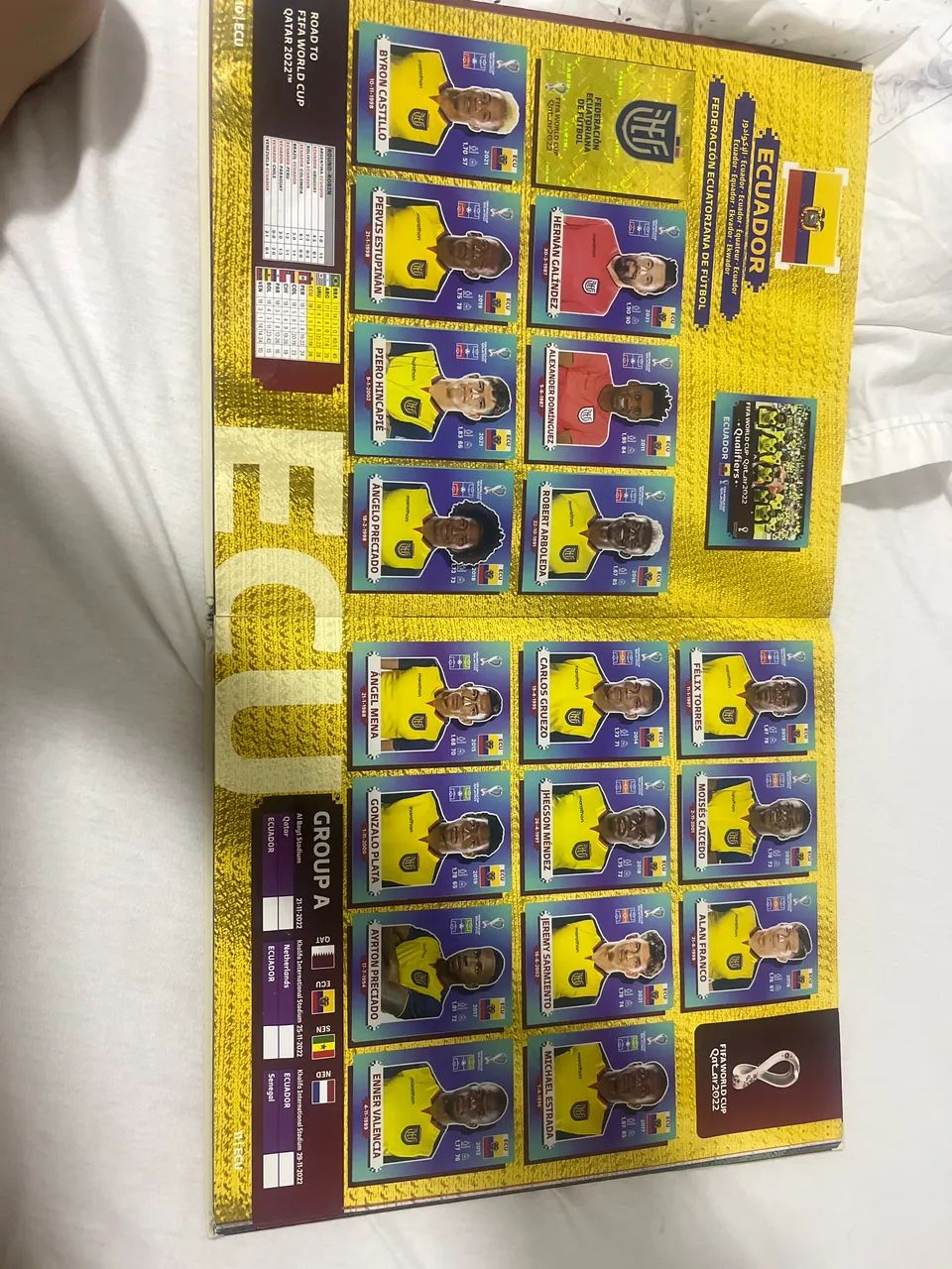 Album da copa do mundo de 2022 - Foto 5