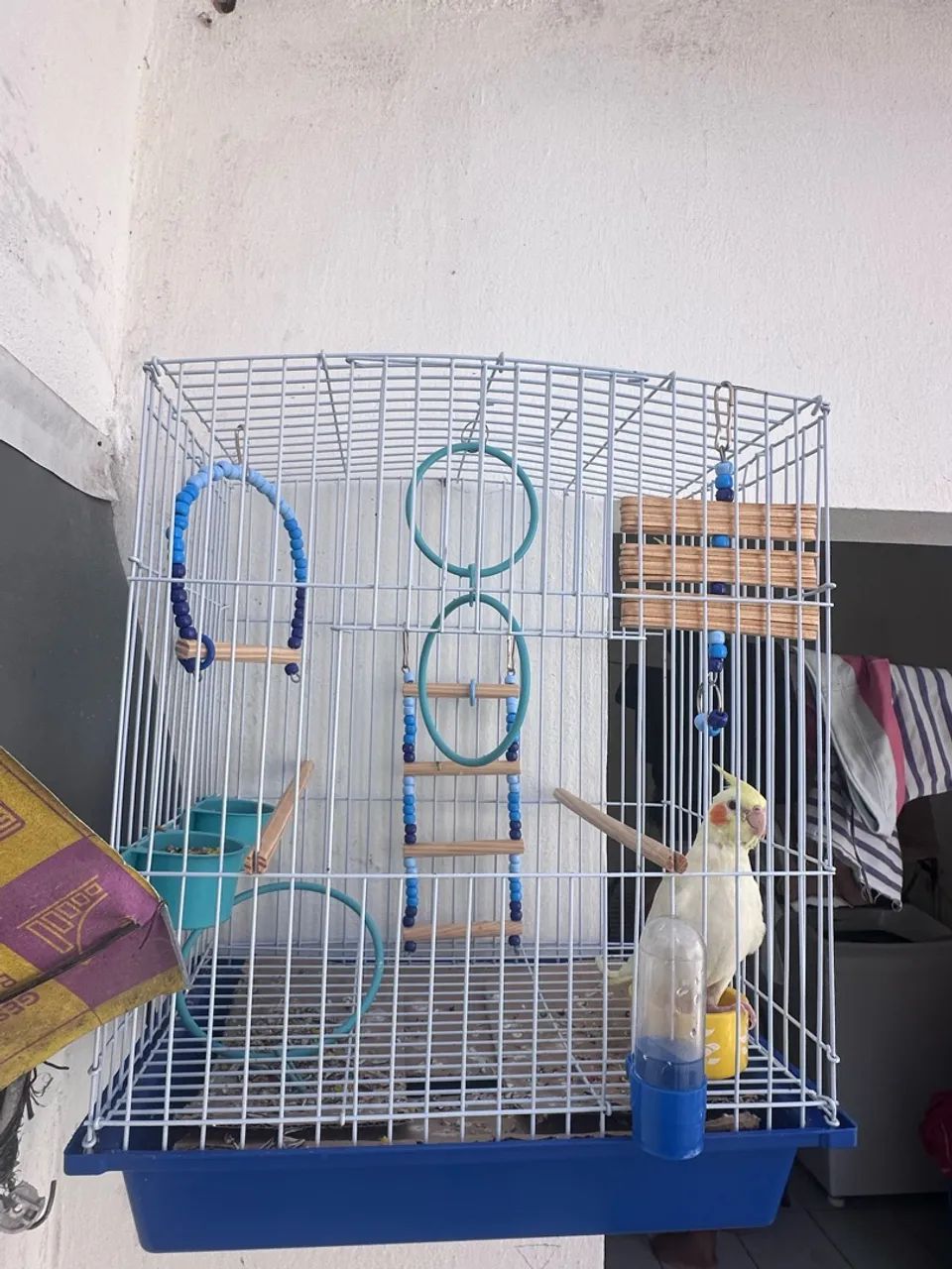 Gaiola de ferro