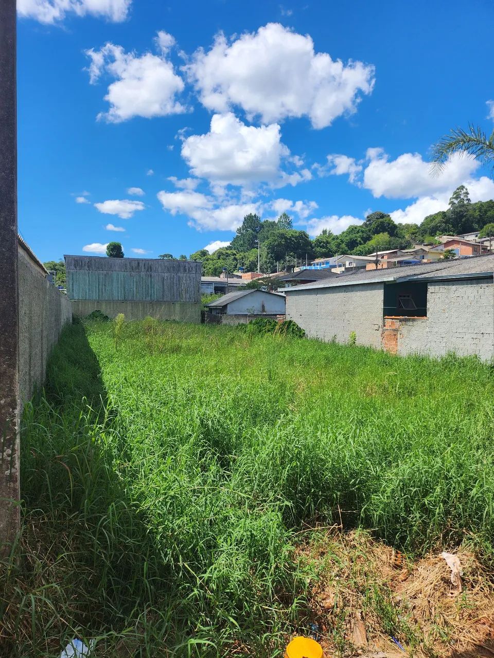 Foto - Campina Grande do Sul - Santa Rita de Cássia