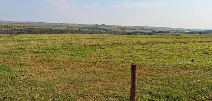 CANA - PECUÁRIA - Área Rural 34 Alqueires